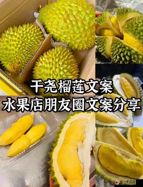 榴莲香蕉苹果哈密瓜水蜜桃的缤纷美味盛宴